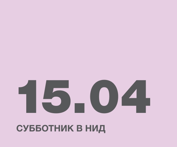 Субботник в НИД