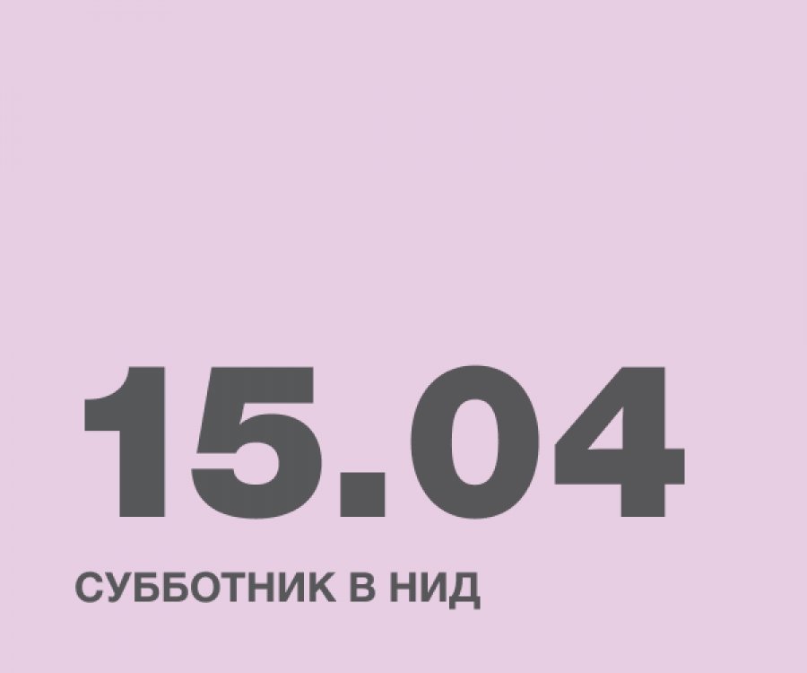 Субботник в НИД