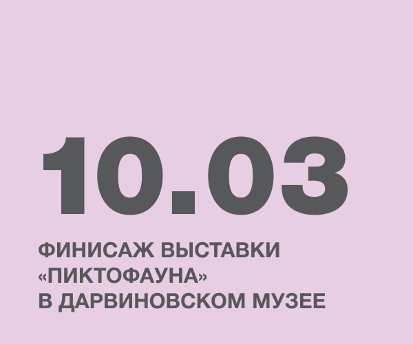 Финисаж выставки «Пиктофауна» в Дарвиновском музее